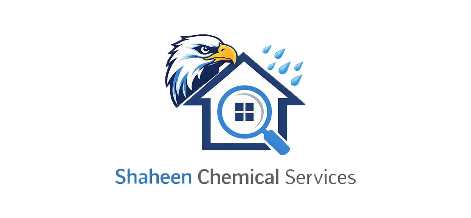 shaheenwaterproofingservices.com